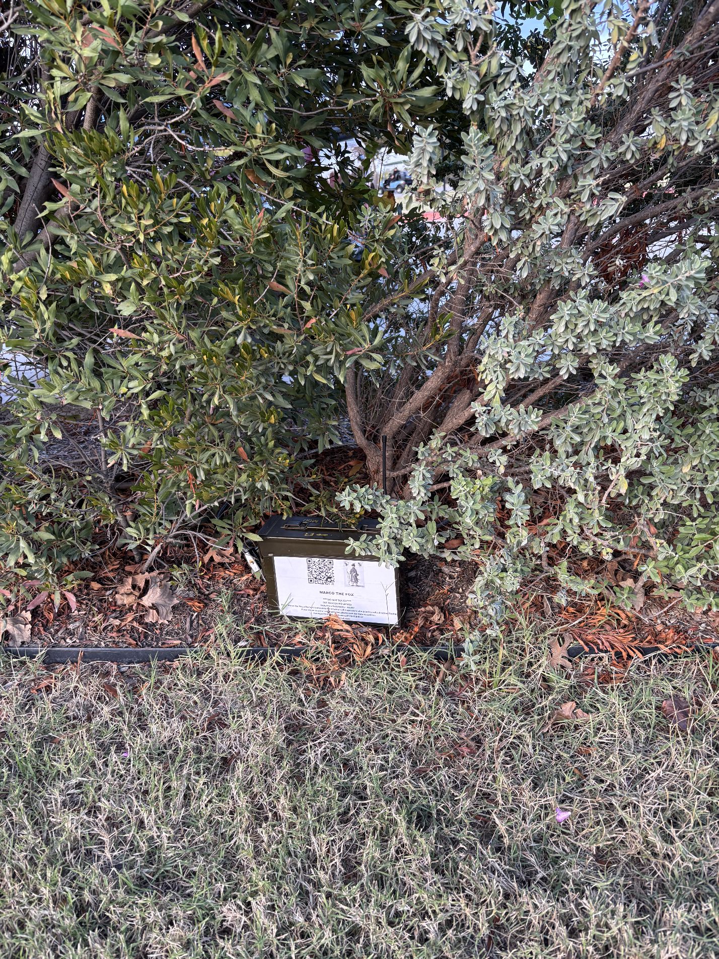 foxLocationImage