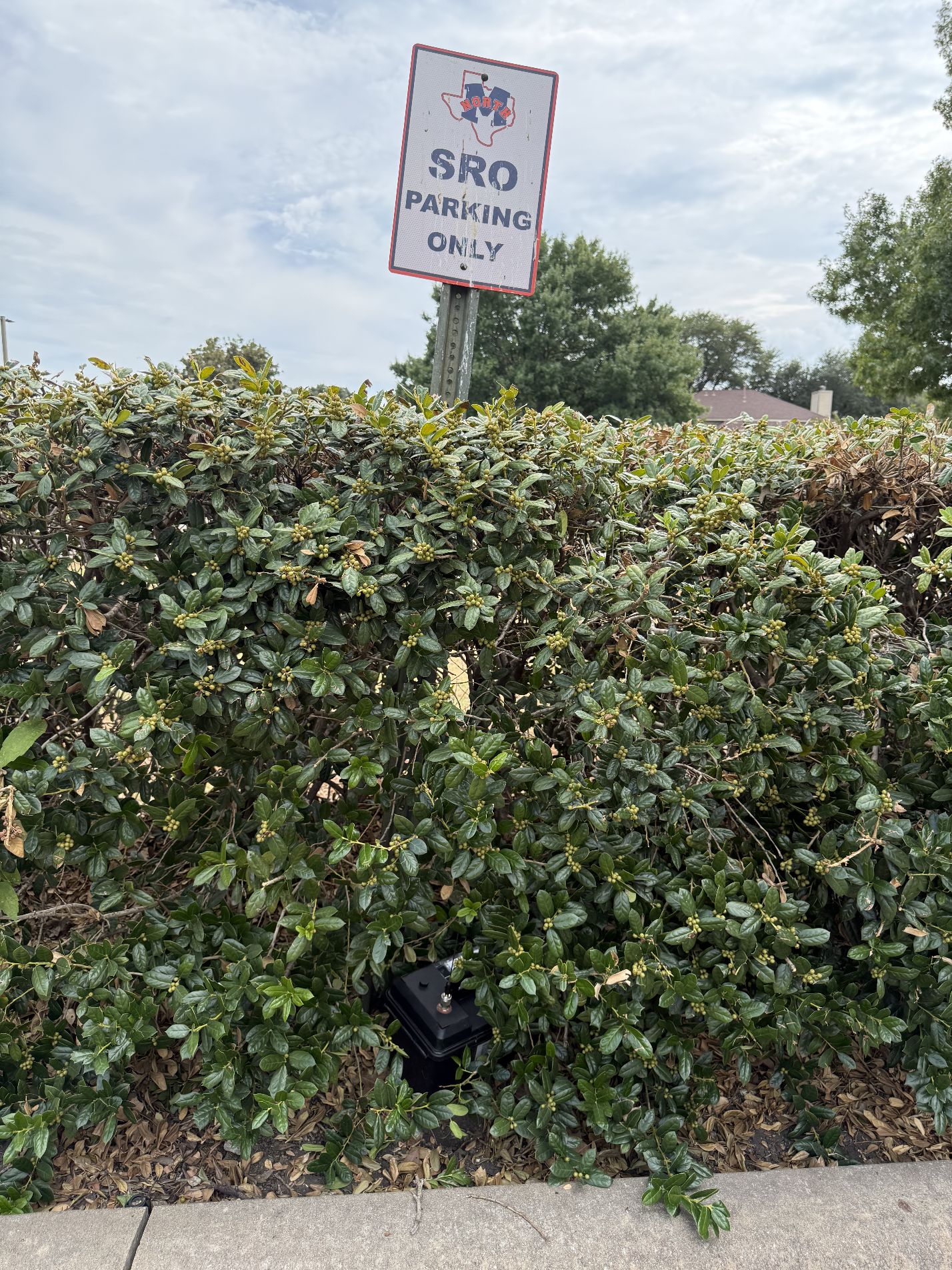 foxLocationImage