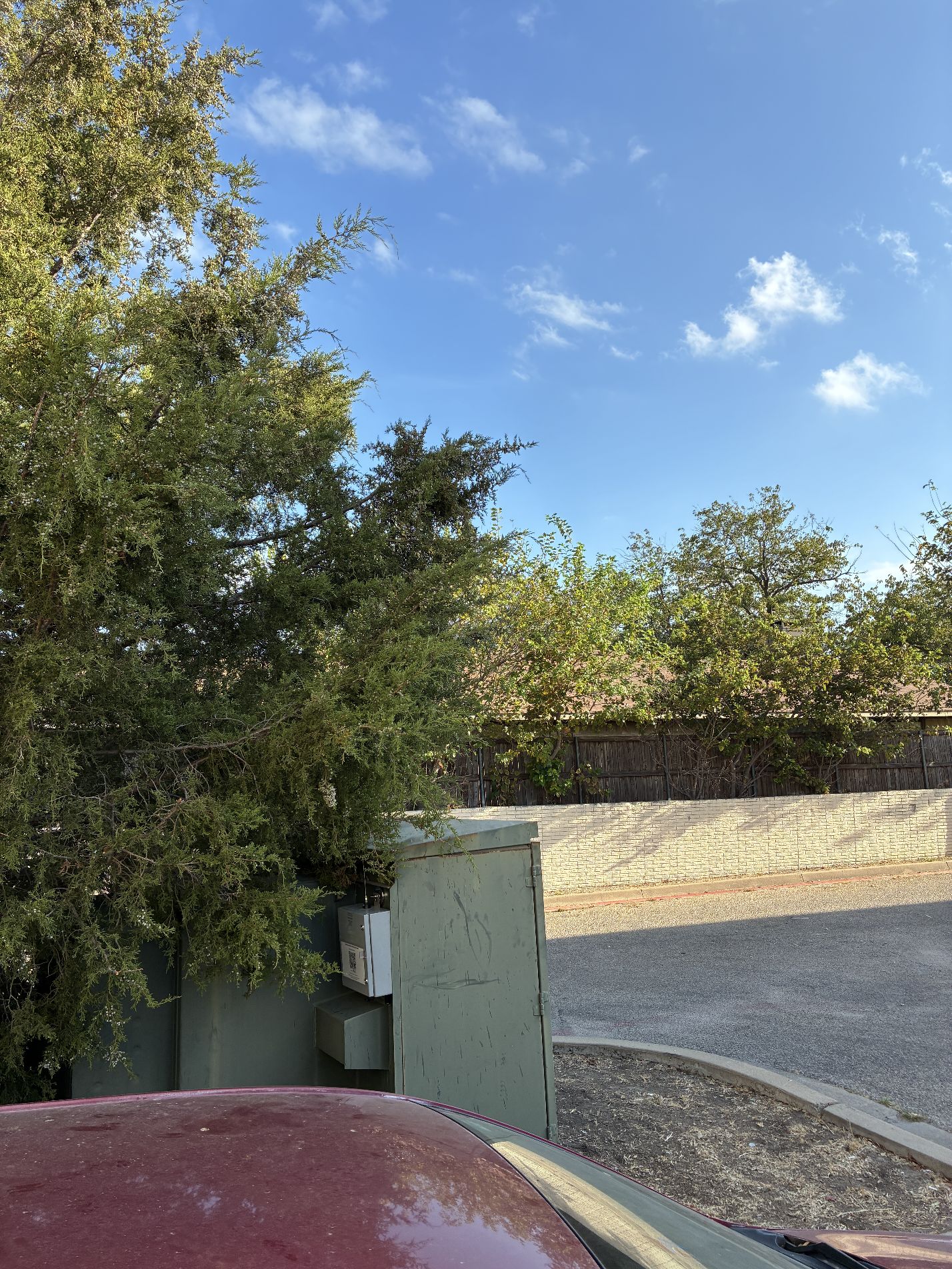 foxLocationImage