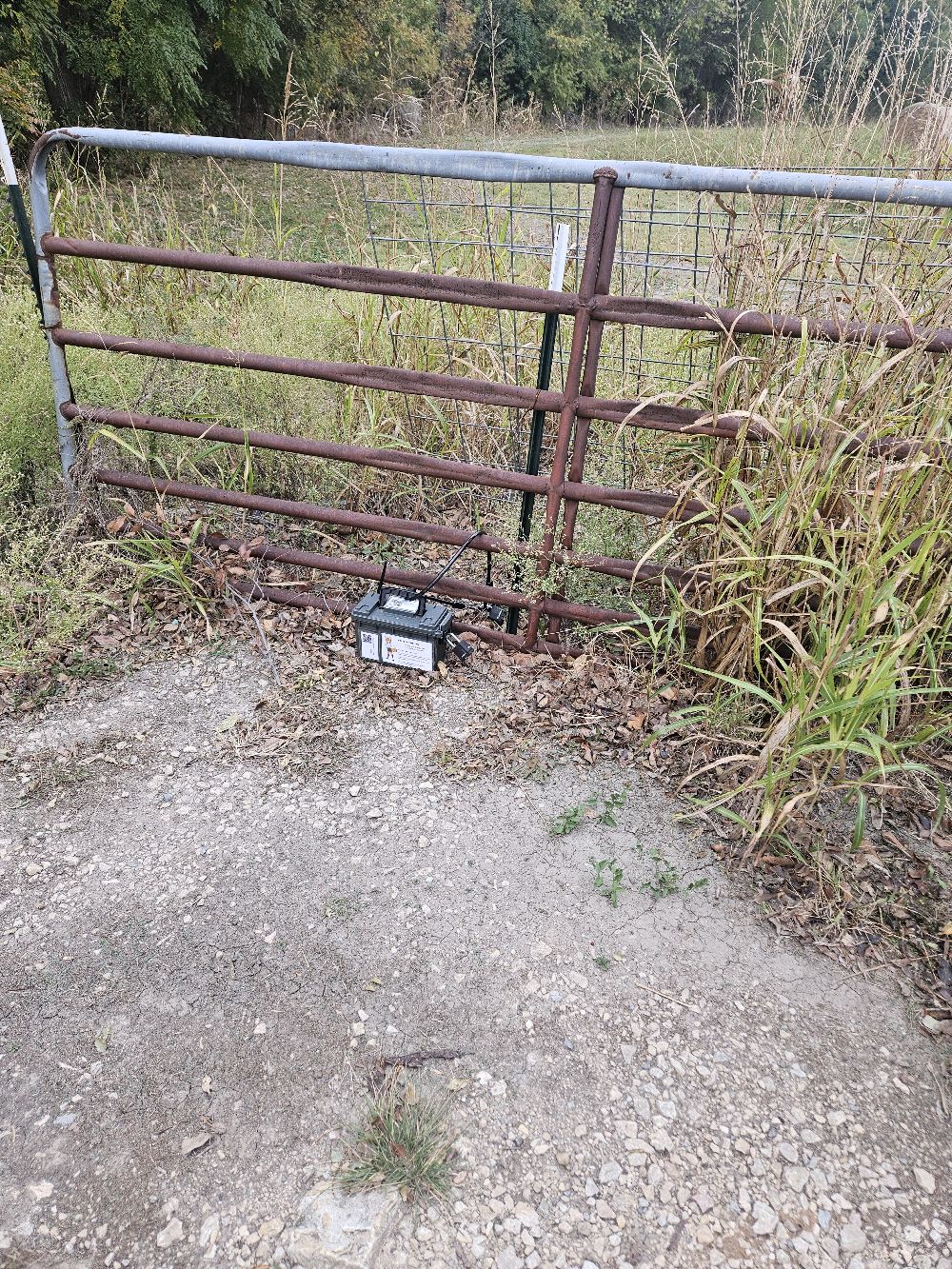 foxLocationImage