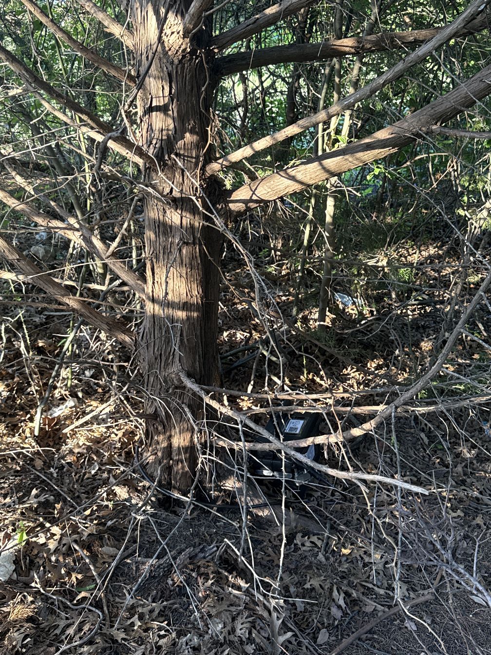 foxLocationImage