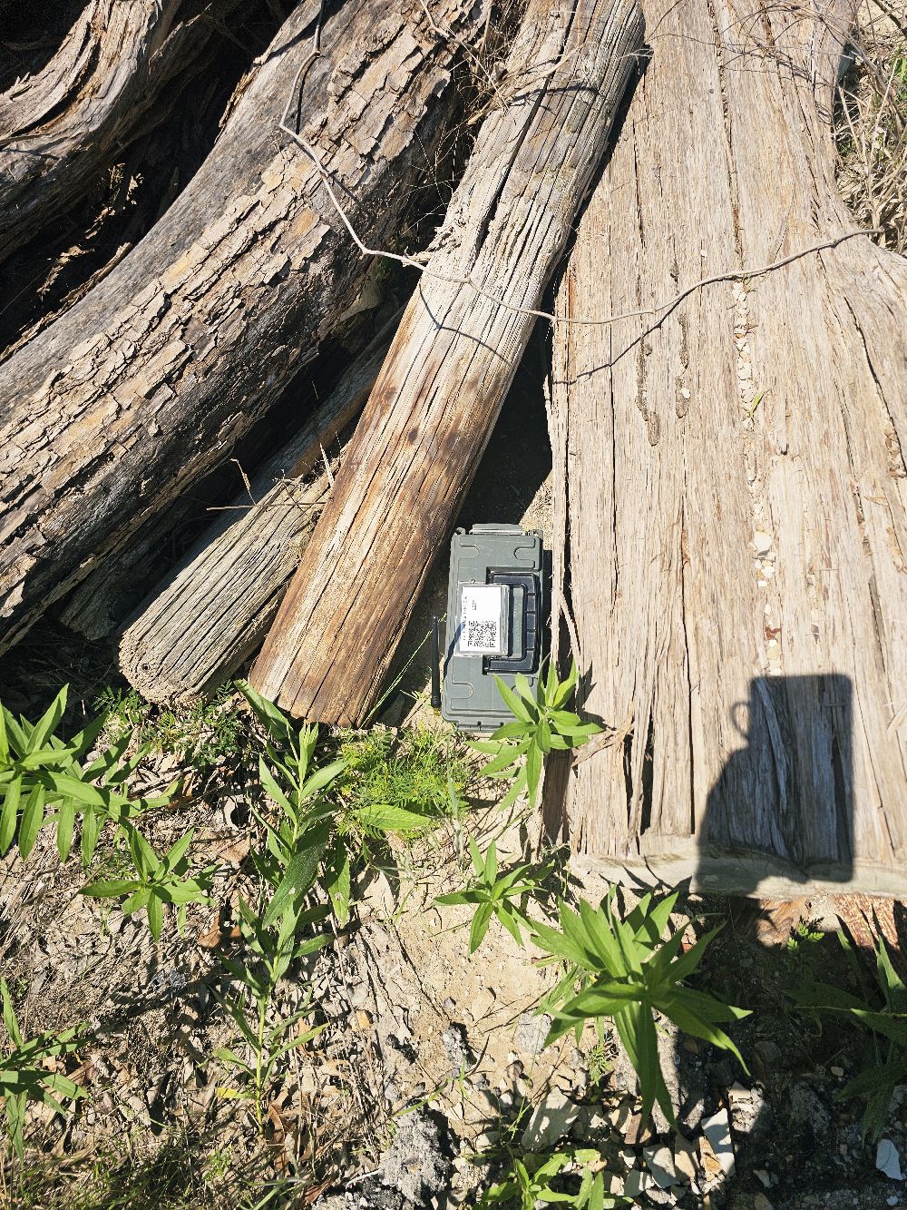 foxLocationImage