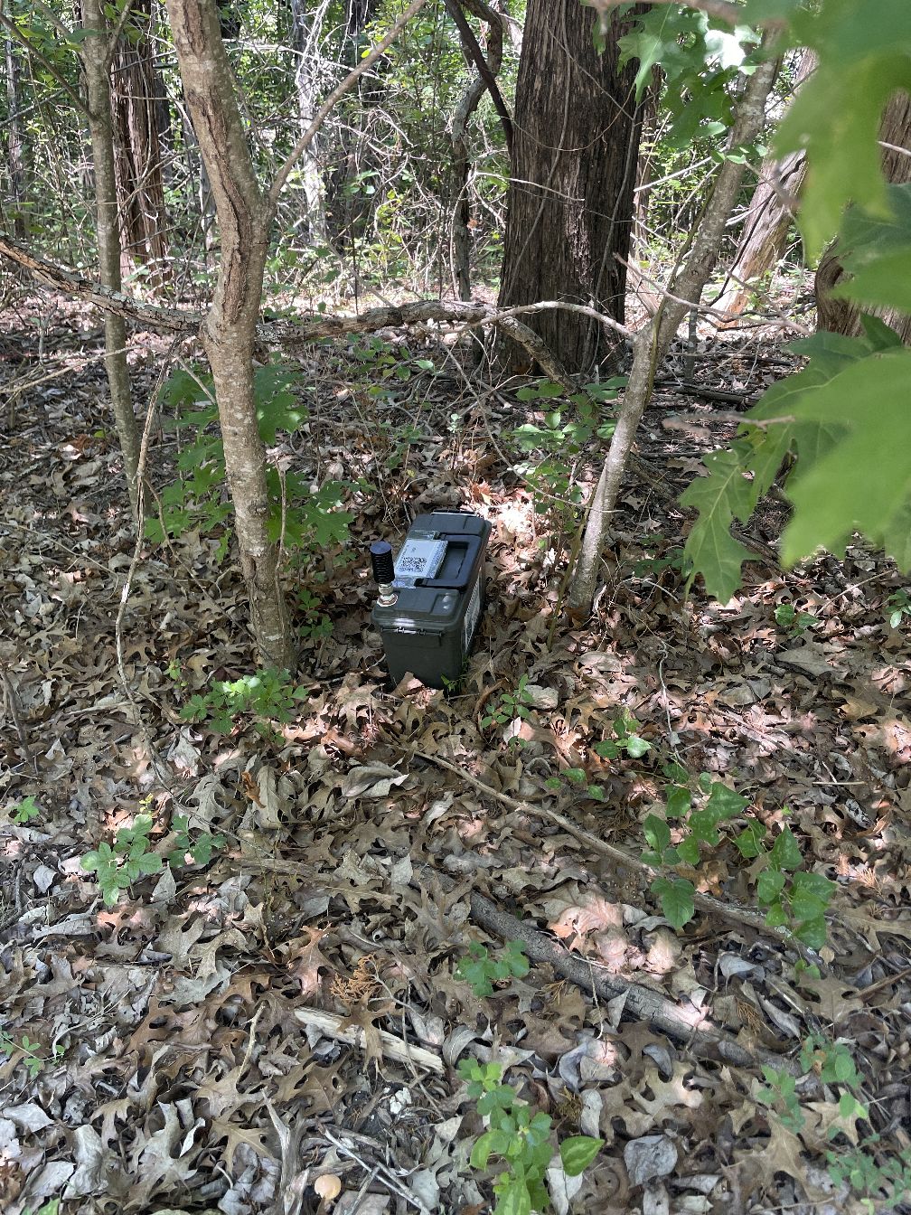 foxLocationImage