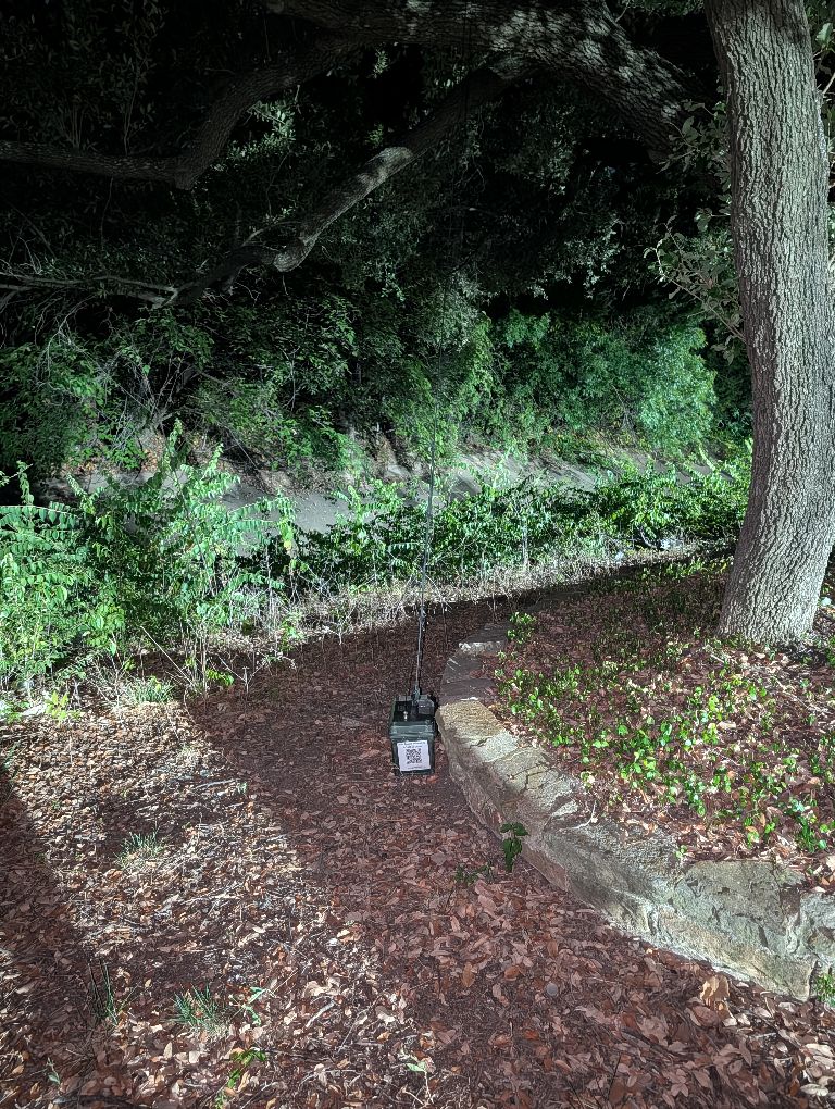 foxLocationImage